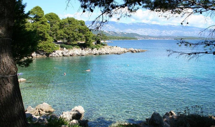 Suha punta